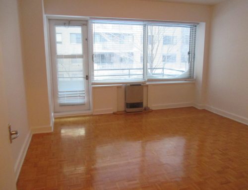 Superbe appartement 1 CAC disponible maintenant! (#404)